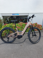 Ibex eMission Neo GT DS Mono Fully