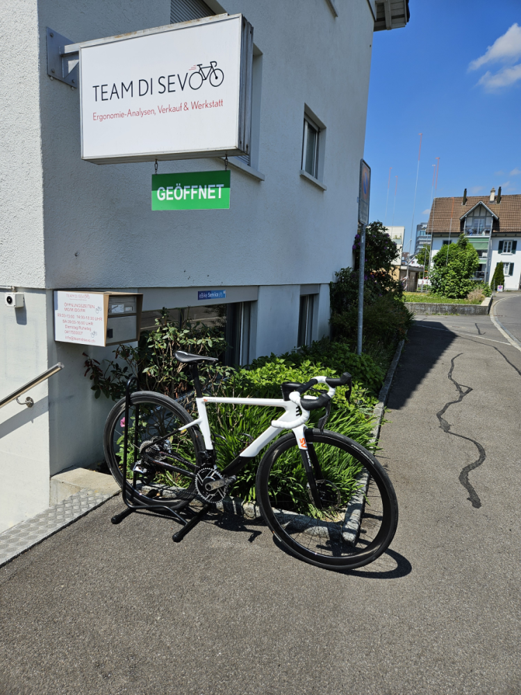 Basso SV