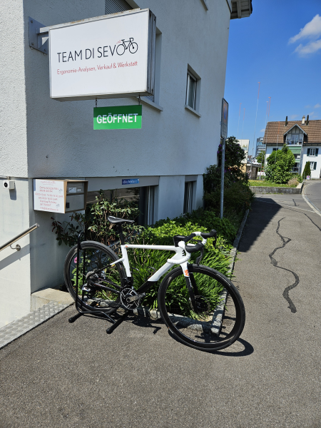 Basso SV