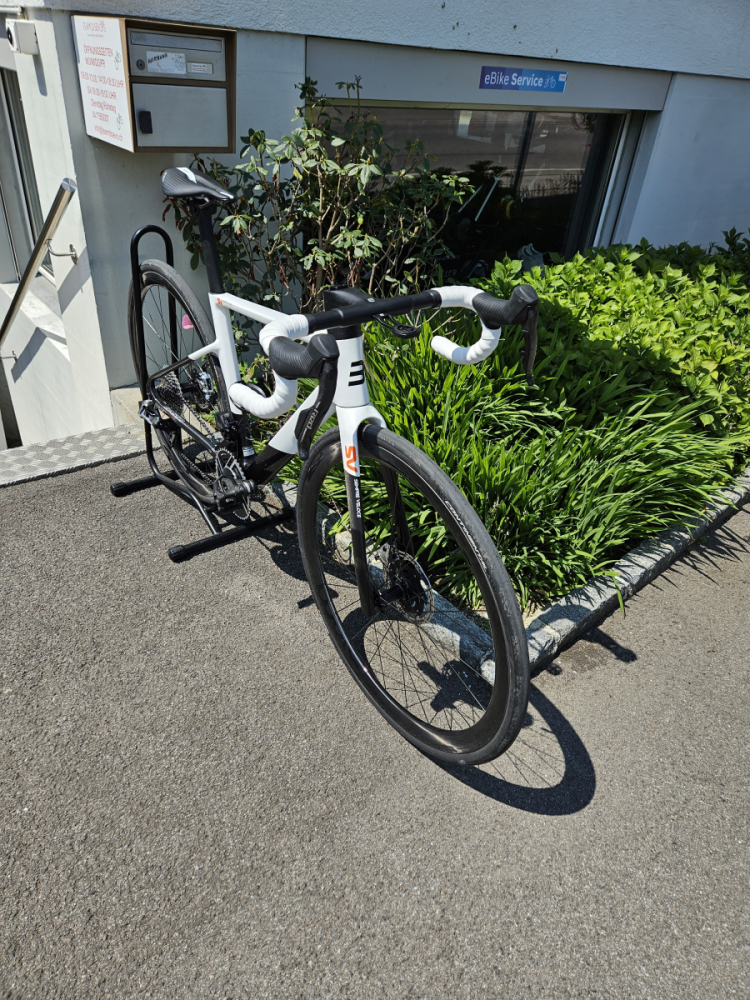 Basso SV