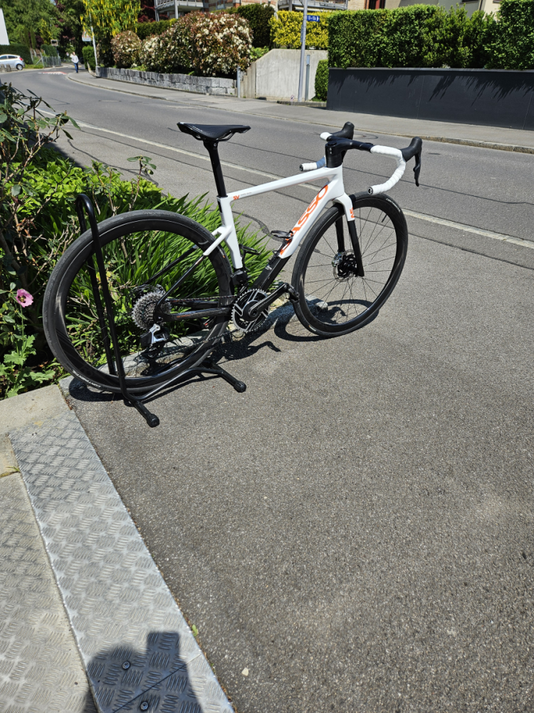 Basso SV