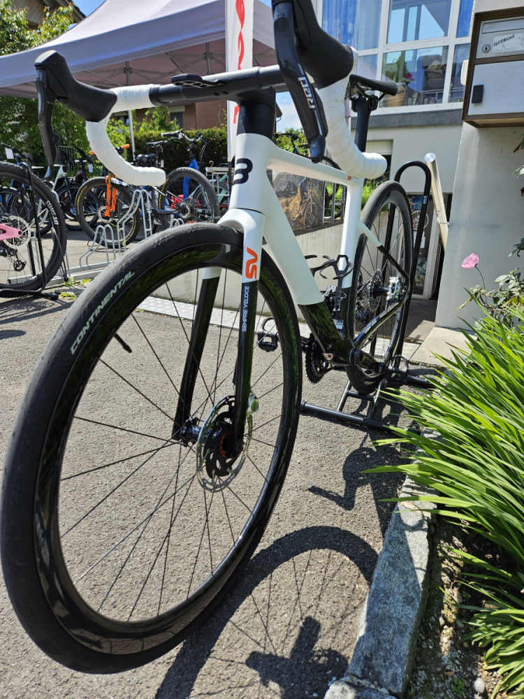 Basso SV