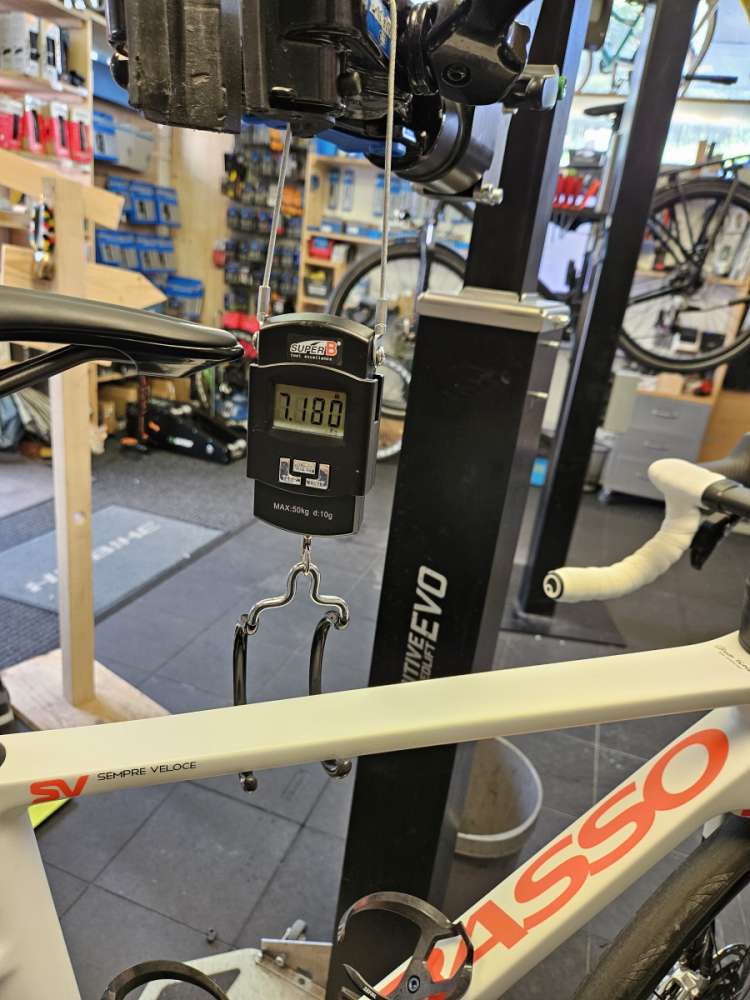 Basso SV