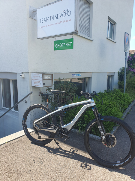 Porsche eBike Cross