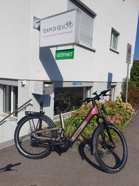 E-Bikes ab 3500 Fr