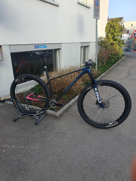 Ghost LECTOR WORLD CUP