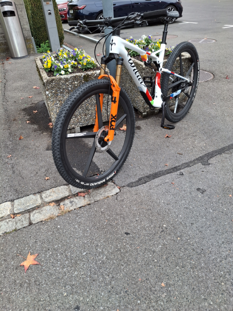 Wilier Triestina Urta Max SLR   Spezial Preis Olympia Lackierung