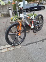 Wilier Triestina Urta Max SLR   Spezial Preis Olympia Lackierung
