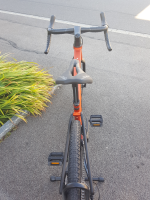 Basso Tera