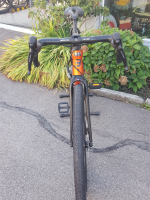 Basso Tera