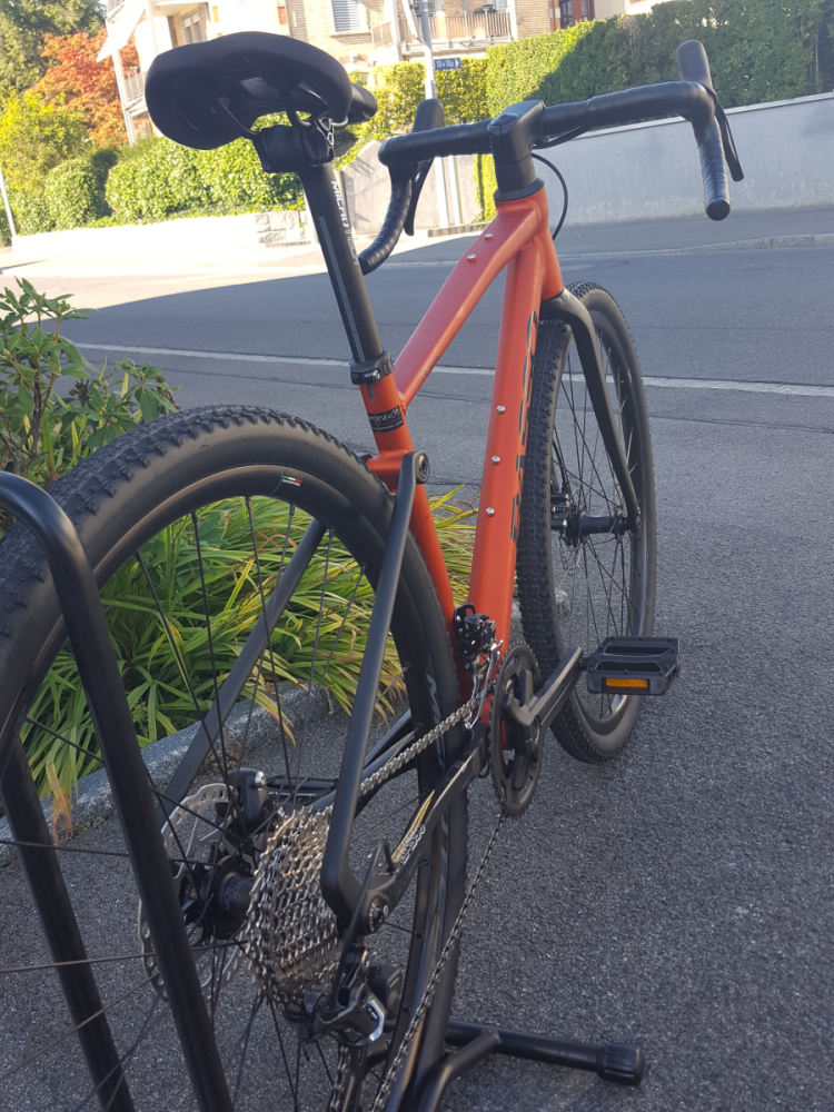 Basso Tera